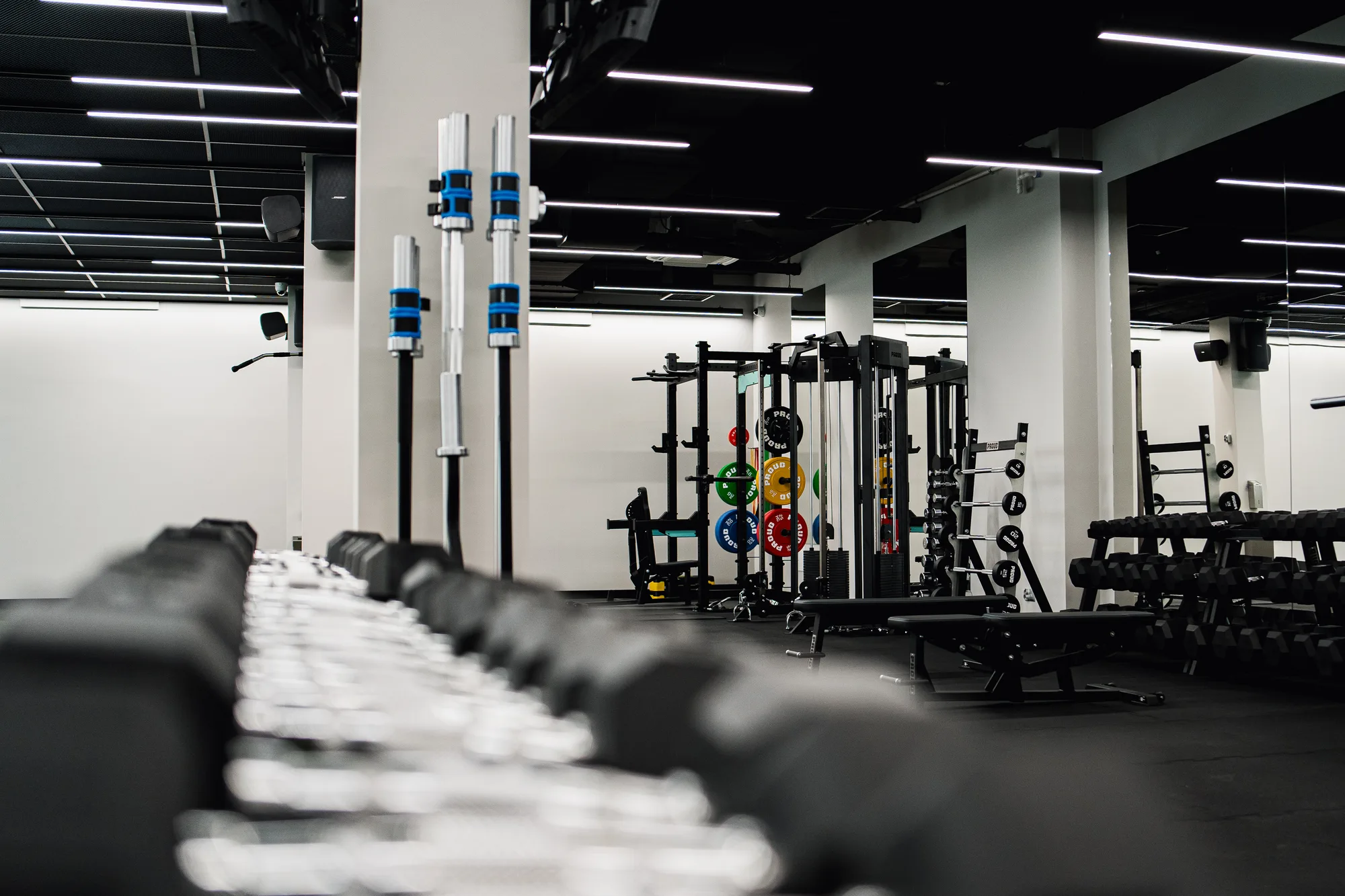 Optense siłownia – strefa wellness